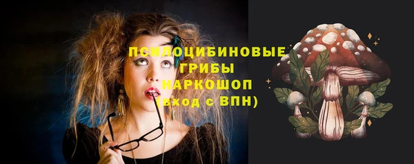 гидропоника Бронницы
