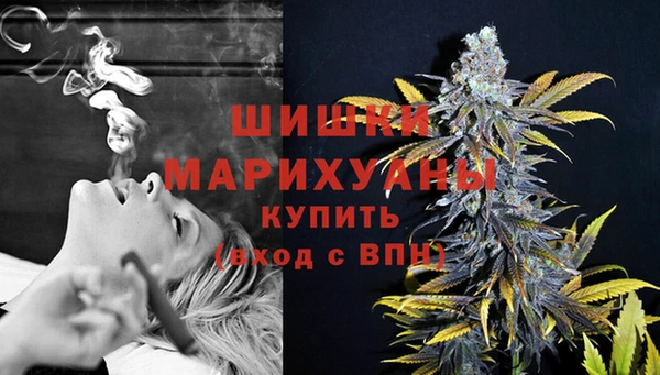 мет Бородино